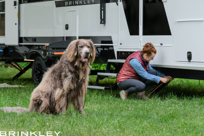 | Model I 265 Travel Trailers 41 Model I 294 Travel Trailers Lifestyle Pet Tie Down 2025 Brinkley RV 0076